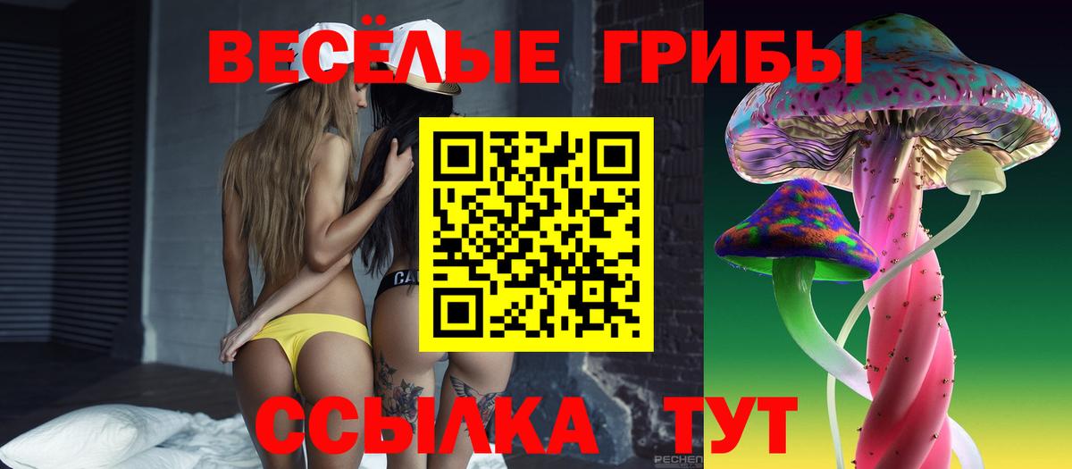 Новоалександровск  Псилоцибиновые грибы мицелий  Вход с VPN 