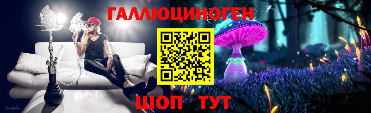 Галлюциногенные грибы Psilocybe Новоалександровск